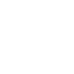 Foam King Logo